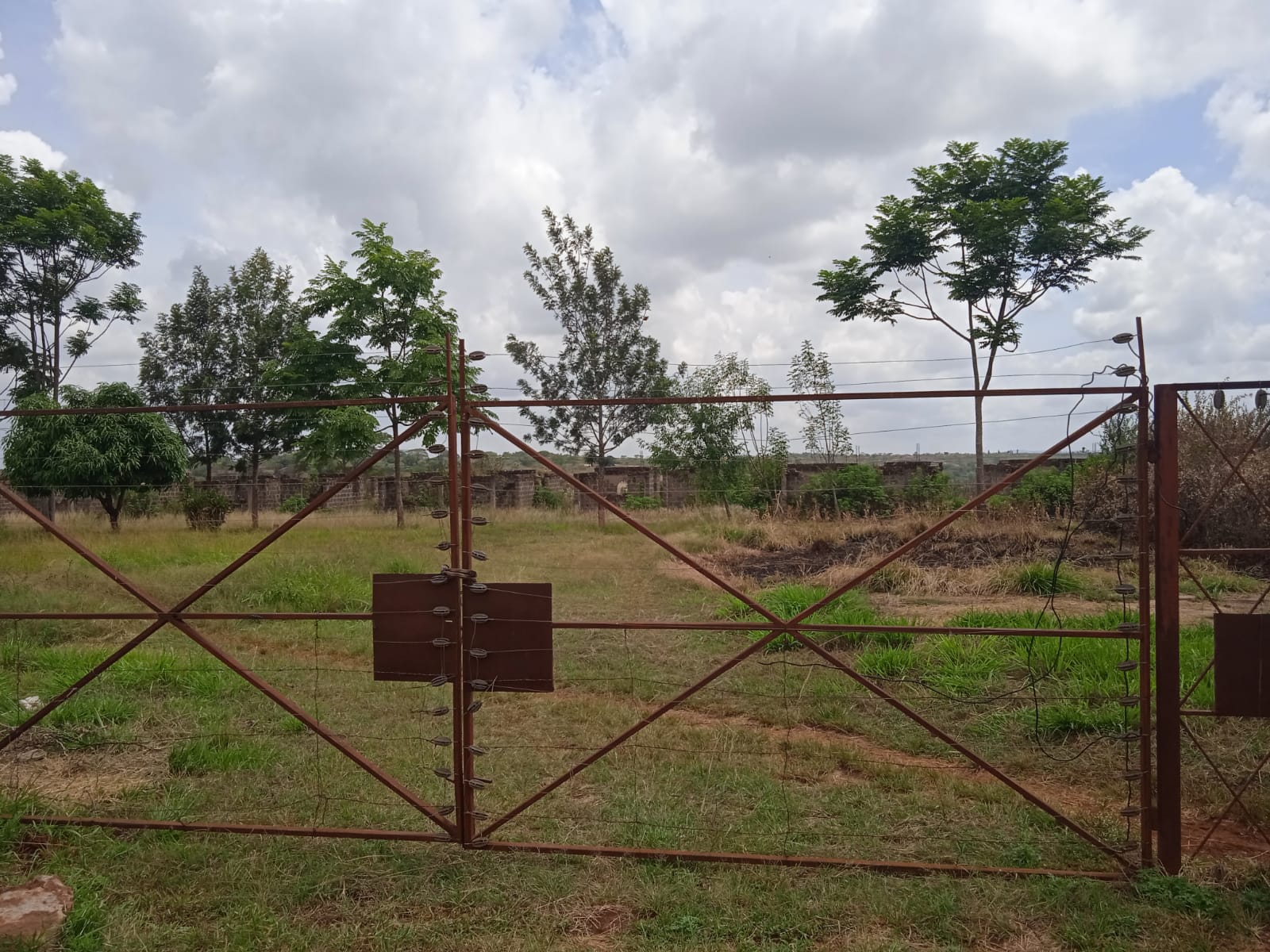 Plot Image 5